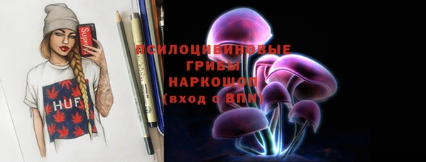 дмт Абаза